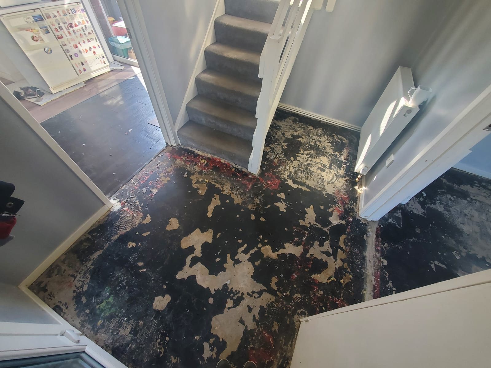 Entrance way LVT, before